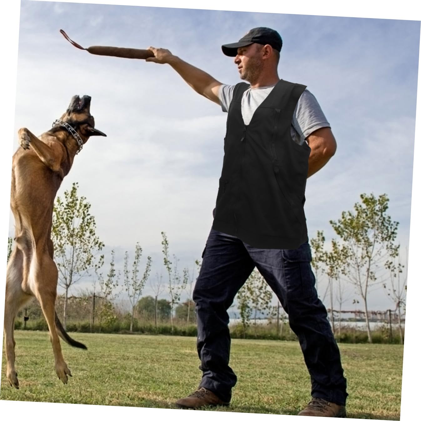 Gilet D'obéissance pour Chien Noir, Léger et Imperméable en Polyester-Mesh
