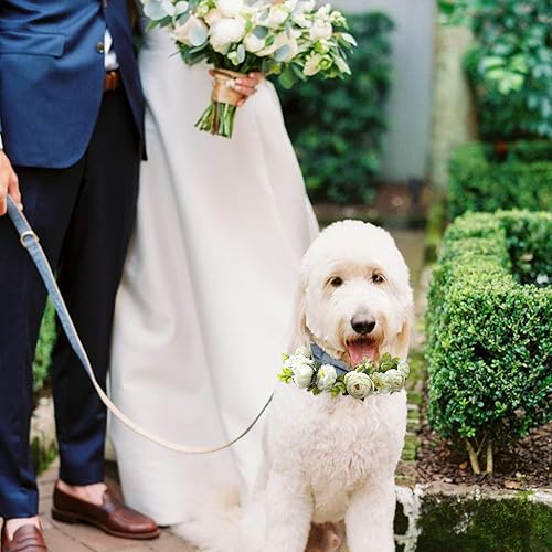 Miniatura 5 de Elegante collar de boda para perro con hermosas flores, collar de boda para perro, traje de boda, collar de perro para collar de perro de flores,