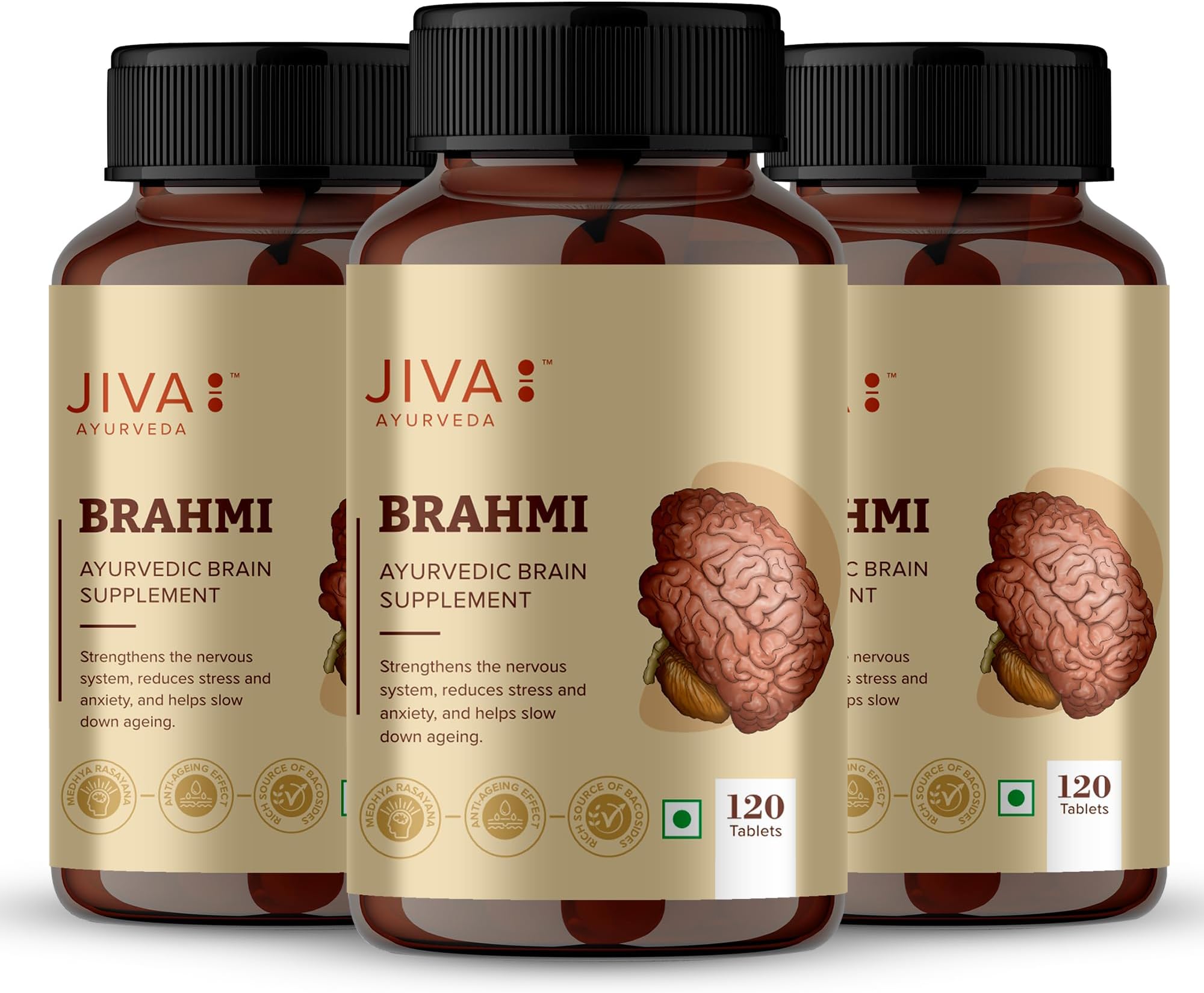 Jiva Brahmi Tablets 500mg 360 Tablet for Mind Wellness | Helps to Relief Stress & Anxiety 120 Tablet (Pack of 3)
