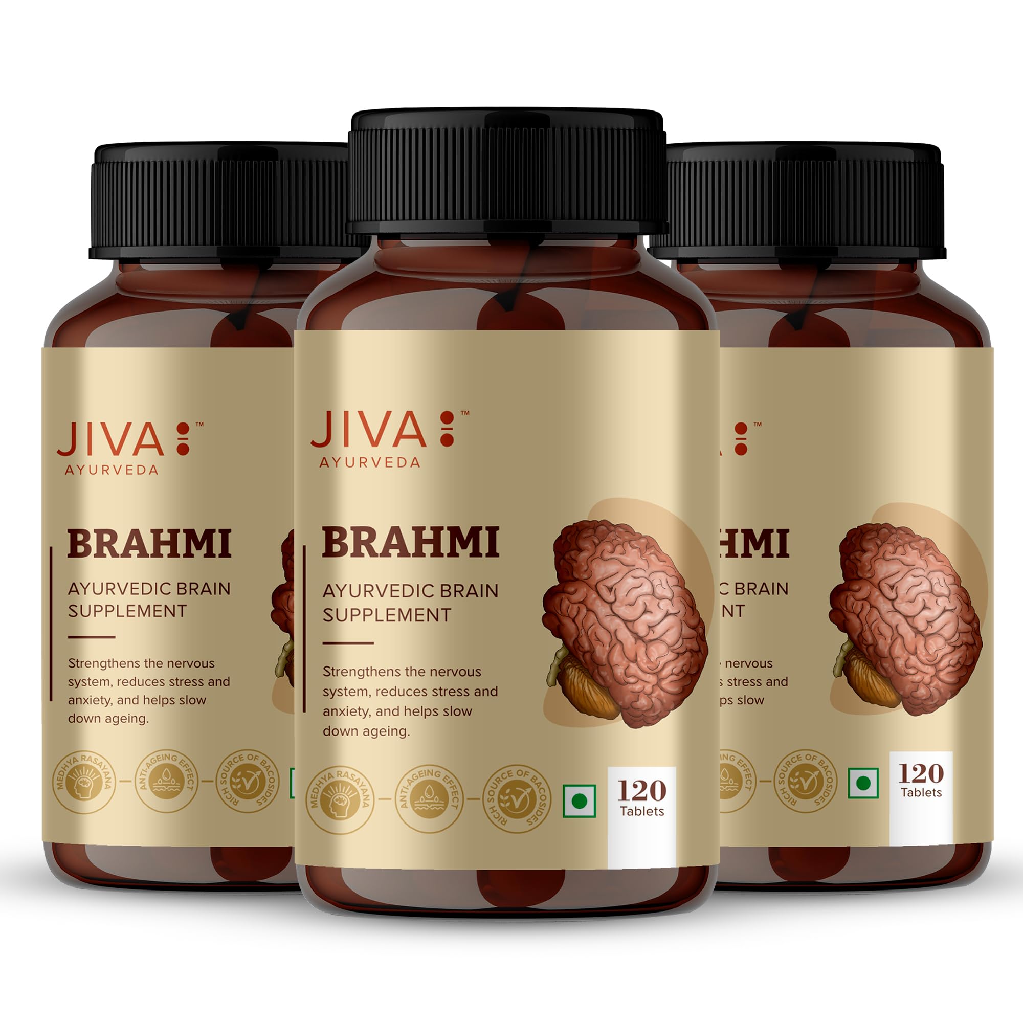 Jiva Brahmi Tablets 500mg 360 Tablet for Mind Wellness | Helps to Relief Stress & Anxiety 120 Tablet (Pack of 3)