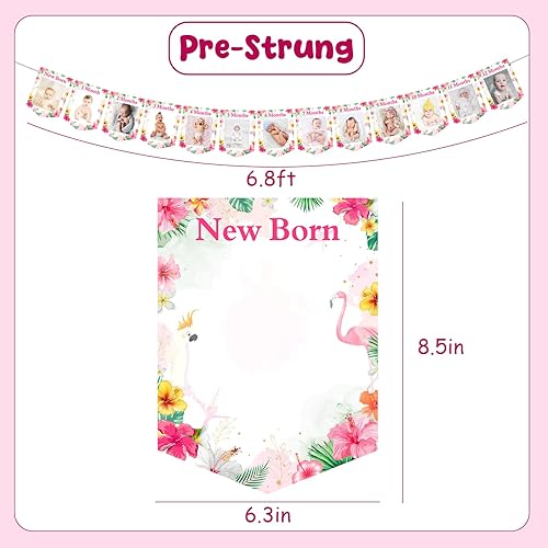 Miniatura 7 de Cartel hawaiano de 1er cumpleaños para niñas, cartel de Aloha para bebés de recién nacido a 12 meses, accesorio de fotos mensual con temática