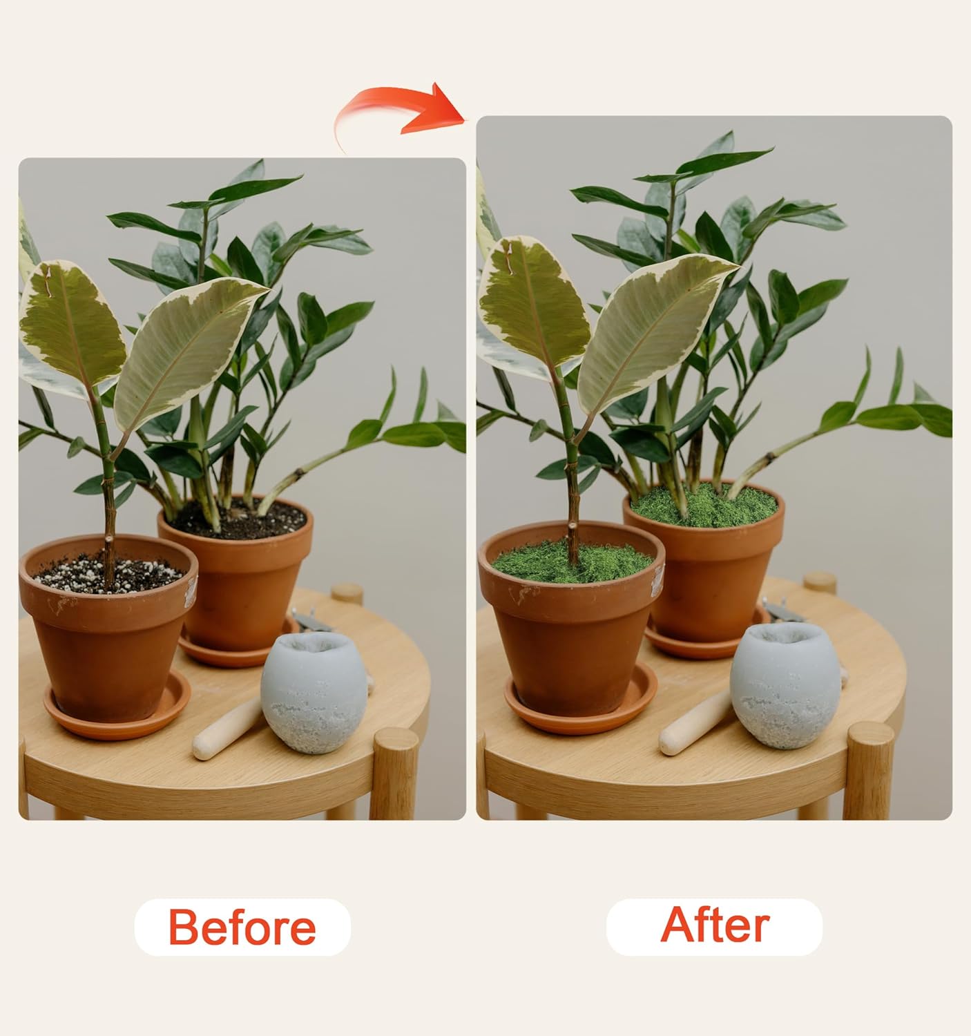 5.3oz Green Fake Moss Artificial Floral Moss Faux Plant for DIY Crafts Fairy Garden Pot Filler Vase Greenery Decorating Project Indoor Model Making Walls Glass Decor Forlaoers - Image 4