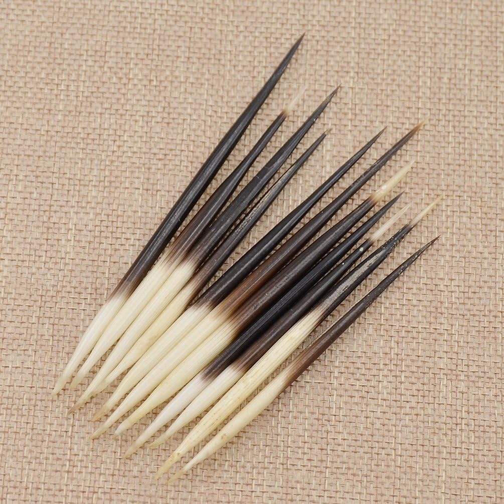 WLngtv 6 Pcs Black and White Porcupine Quills Hair Stick Indian Crafts Accessories Fishing Buoy DIY Sewing Project Kits,Sewing