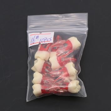10Pcs Teeth Root Canal Model Endodontic File Practice Pulp for Teaching Study M807 16#