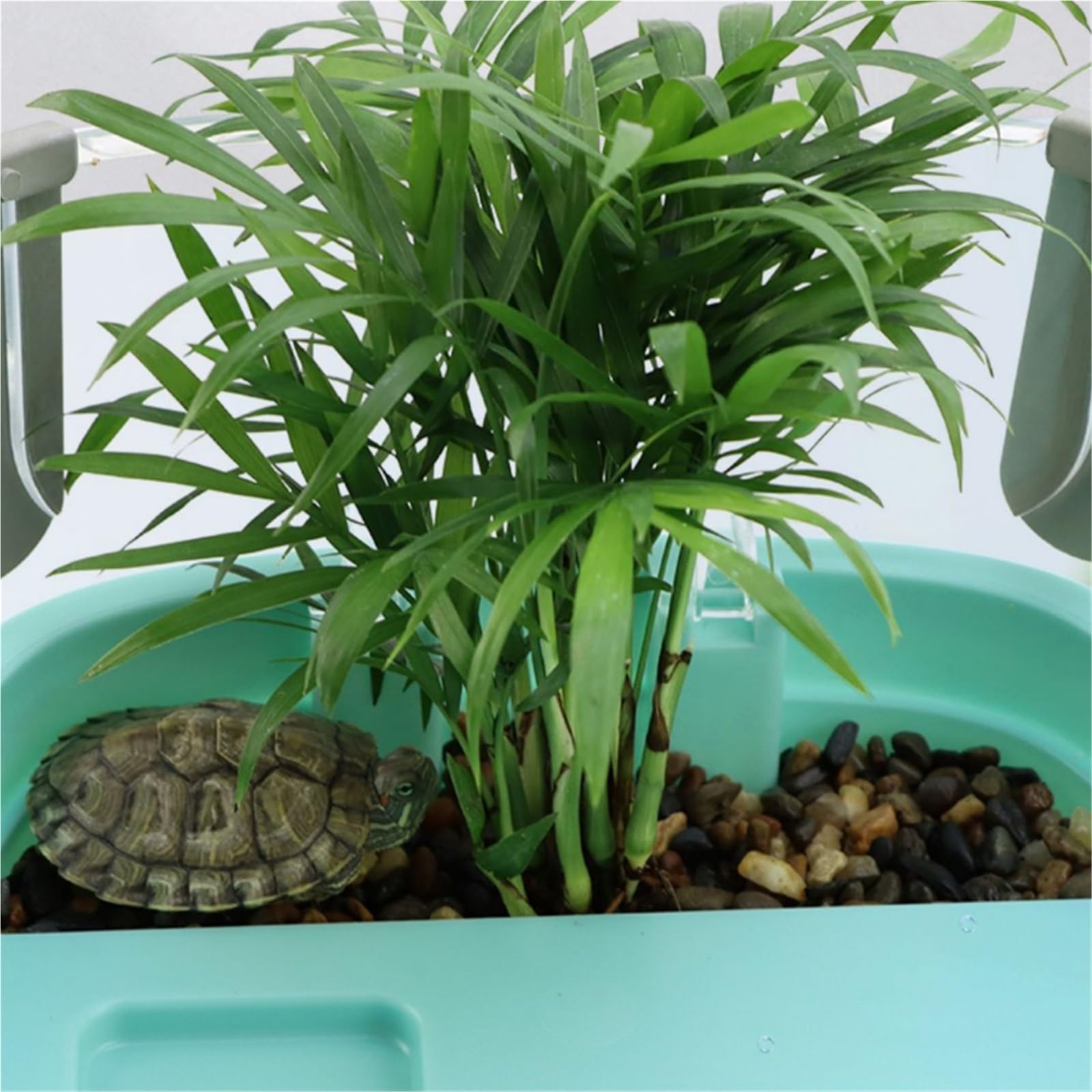 Hábitat del terrario Adorno doméstico Sencillo de Gran Apertura for Tanque Tortugas, for cría Terrario del Acuario(Grande)