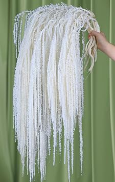 15 Pcs Dried Hanging Amaranthus, 23"-27" Ivory White Cascading Flowers | Real preserved flowers with elegant cascading stems for wedding arches, centerpieces, home decor and floral arrangements.