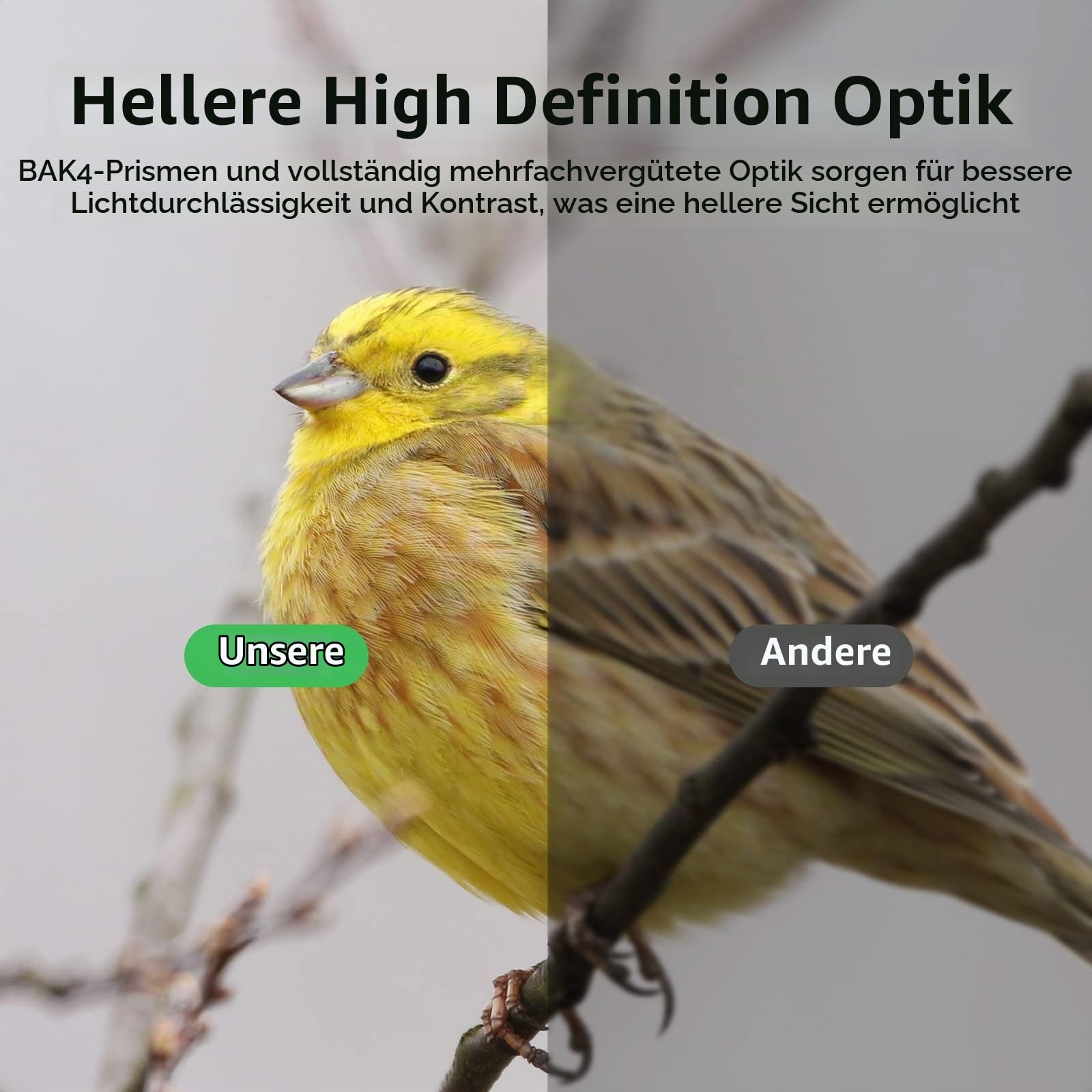 20x50 Fernglas für Erwachsene, professionelles Hochleistungs Fernglas für Vogelbeobachtung, wasserdichtes mit Porro BAK4 Prismenlinse, mehrschichtige beschichtete Linsen für Jagd