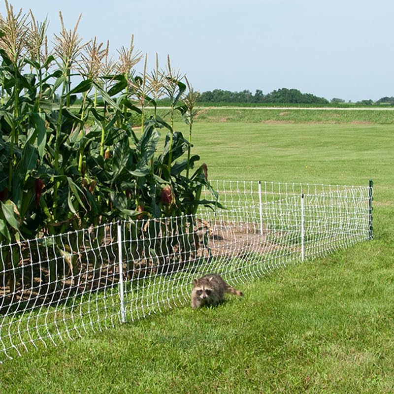 Miniatura 7 de Premier 1 VersaNet Plus, valla eléctrica portátil de 20 pulgadas de alto x 100 pies de largo con postes incorporados, espaciado de hebras de 2 x 2