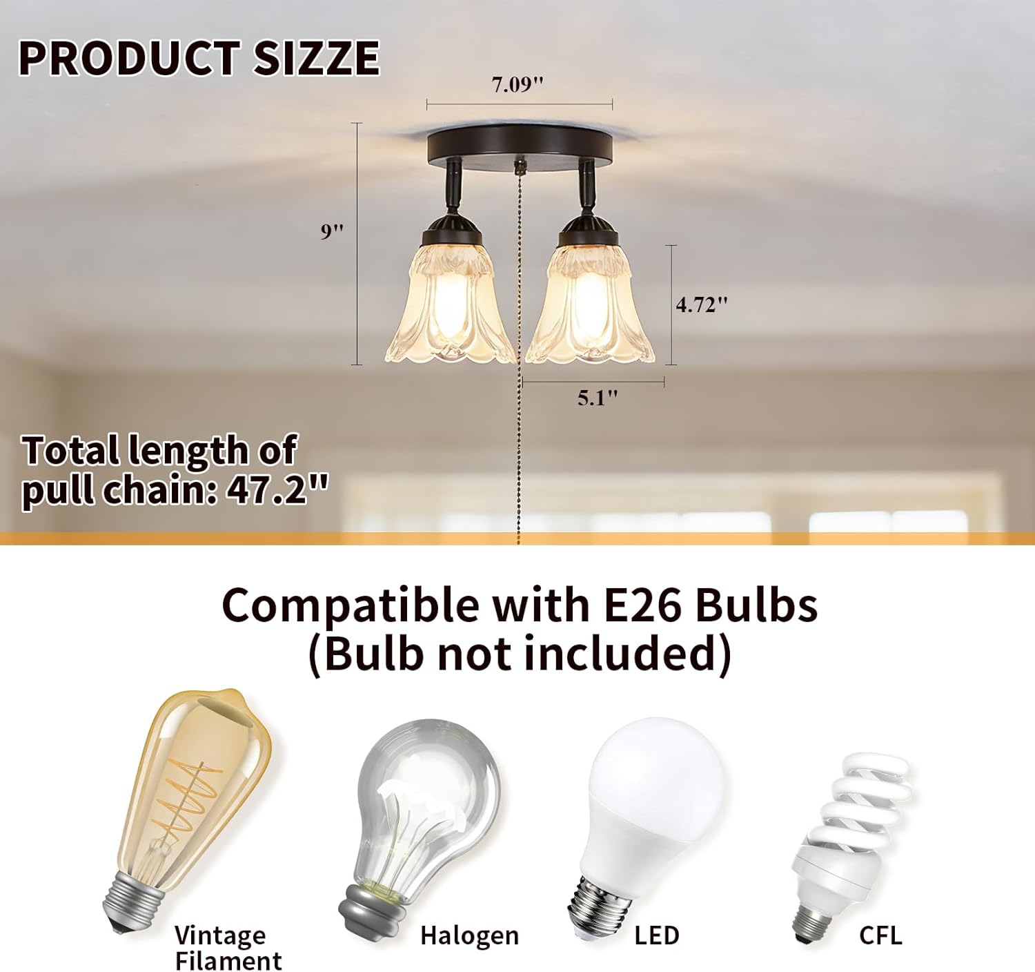 2-Light Flush Mount Ceiling Light with Pull Chain Clear and Frosted Glass Low Profile Lighting Fixtures for Kitchen Living Room Dining Room Closet, Black