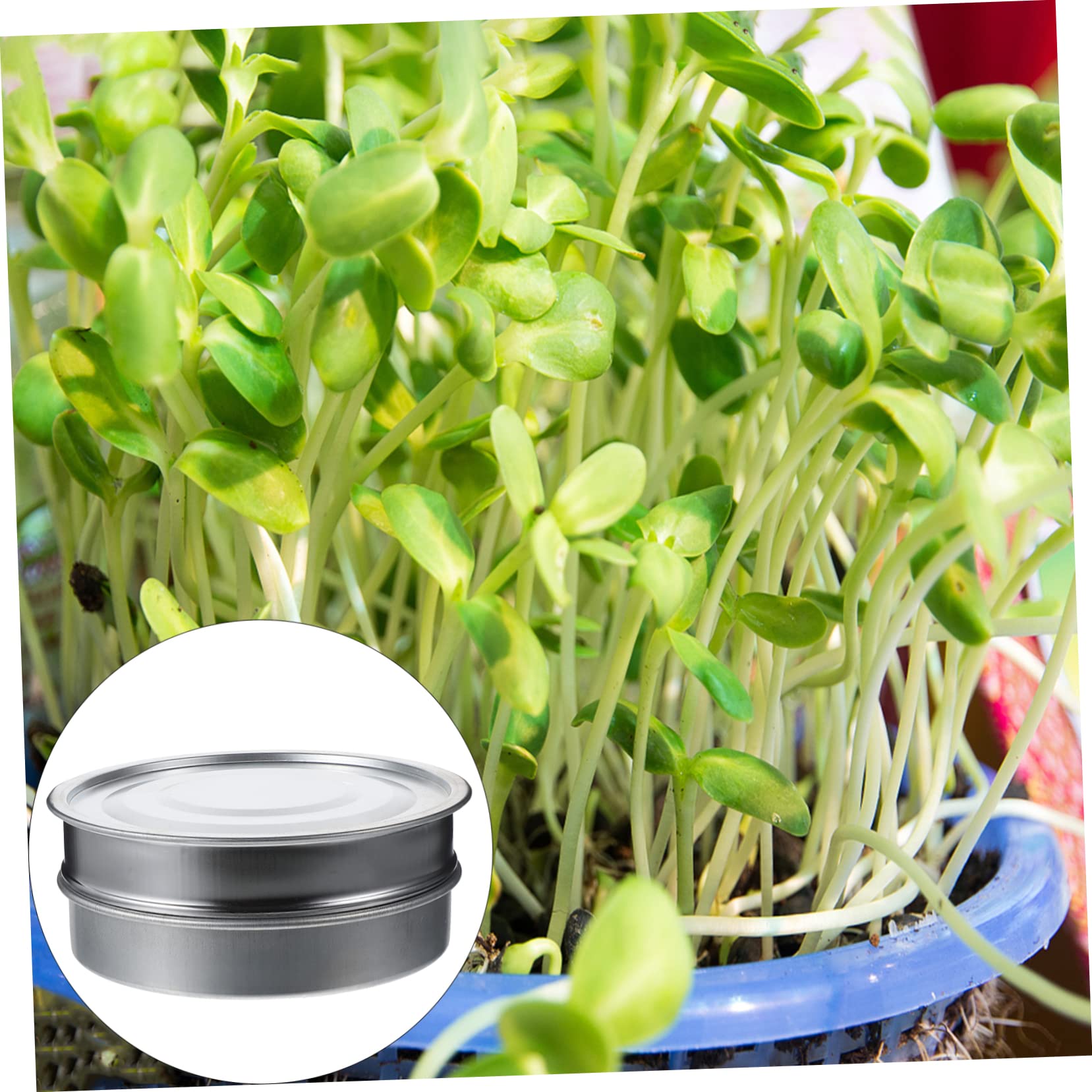 VANZACK Edelstahl Keimschale 20cm Standard Sieb 1 Satz Silber | Eisen und Zinkanteile, Kochbar, Hält Kleines Sicher Zurück, für Garten und Zuhause