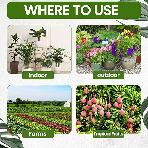 Miniatura 5 de Fertilizante para árboles de cítricos – naranja, limón, lima, mango, aguacate – Fertilizante cítrico para árboles de frutas tropicales para cultivar