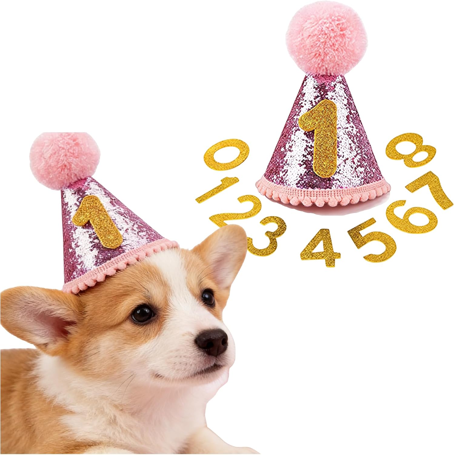 Birthday Party Cone Hat with Interchangeable Numbers 1-10, Glitter Design, Pink and Blue, Pom Pom Topper, Perfect for Pet and Child