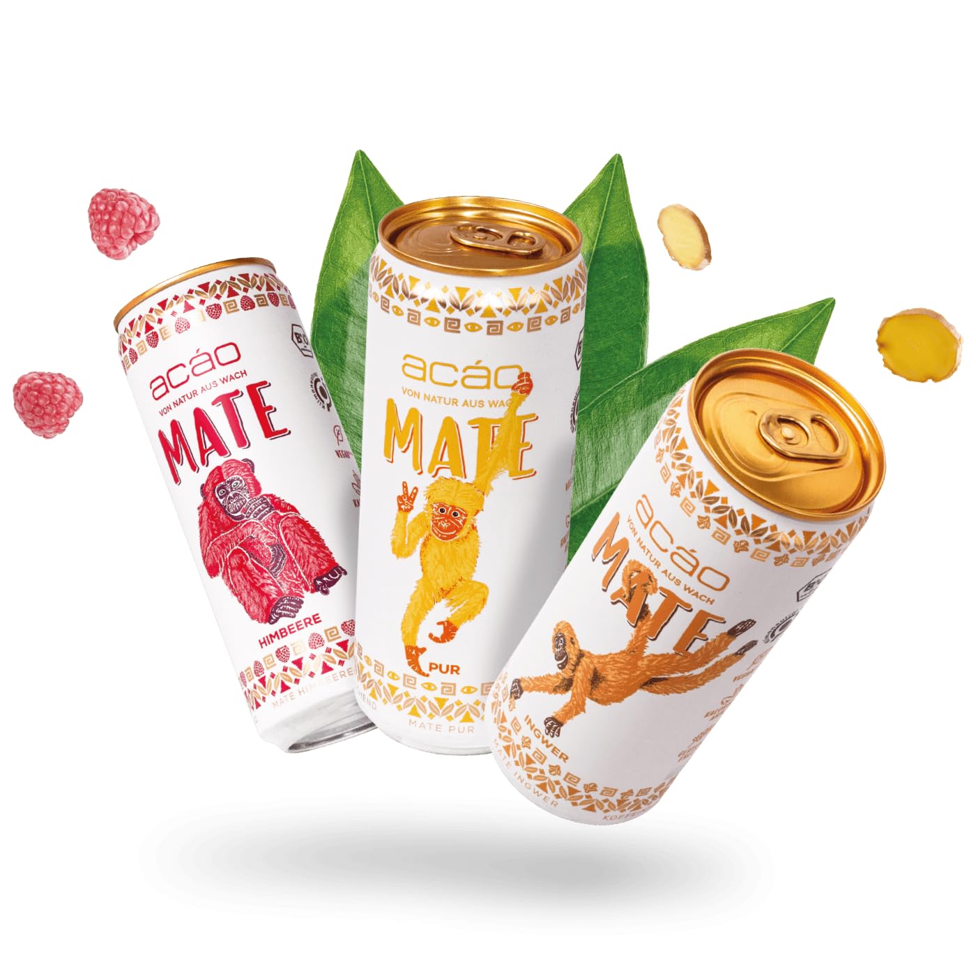 acáo Bio Mate Himbeere (12 × 330 ml Dose) – super fruchtig, kalorienarm – Natural Energy Drink, koffeinhaltiges Erfrischungsgetränk – Mate Tee
