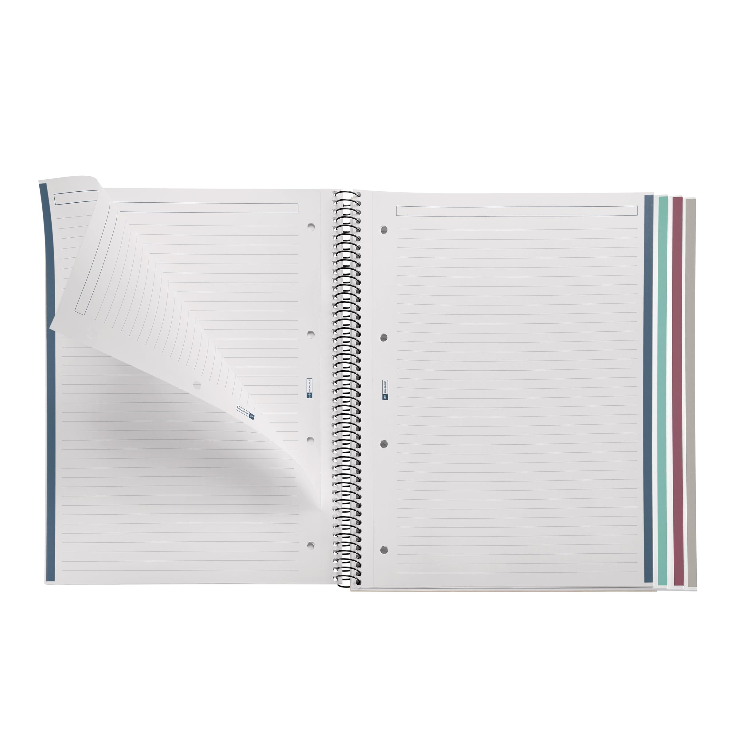 Miquelrius, A4 Notebook (210 x 297 mm), 100 70 g/m² Lined Sheets, Rigid Cardboard Cover, 4 Colour Bands, Spiral, 4 Holes - Image 3