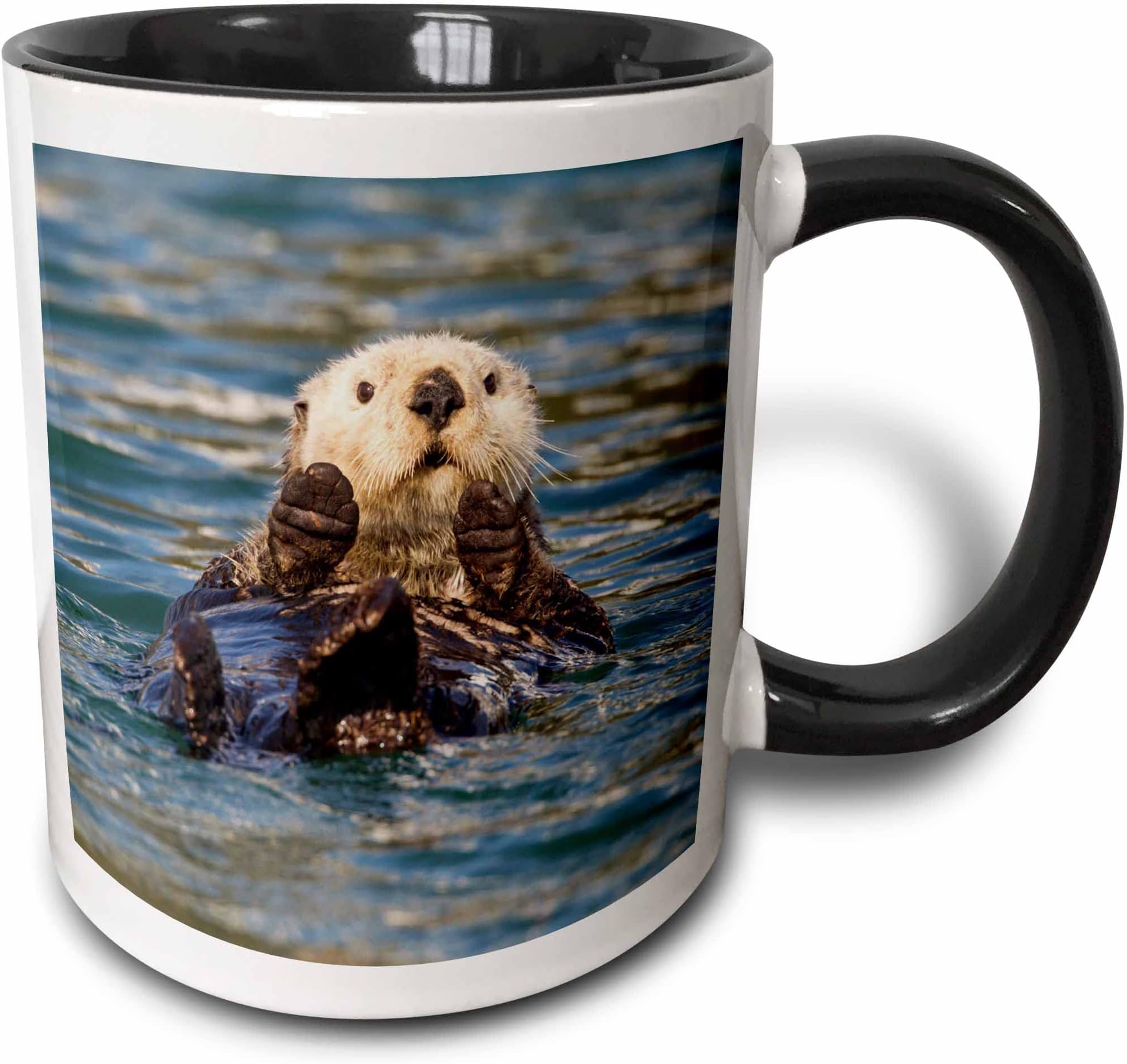 Sea Otter, Prince William Sound, Alaska, Usa-Us02 Hro0648-Hugh Rose-Two Tone Black Mug, Ceramic, 10.16 x 7.62 x 9.52 cm