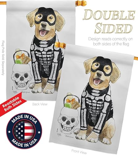 Miniatura 3 de Spooky Skeleton Lab Garden House Flag – Kit Otoño Halloween Bruja Trick or Treat Night Black Cat Season Otoño Calabaza – Cartel decorativo pequeño