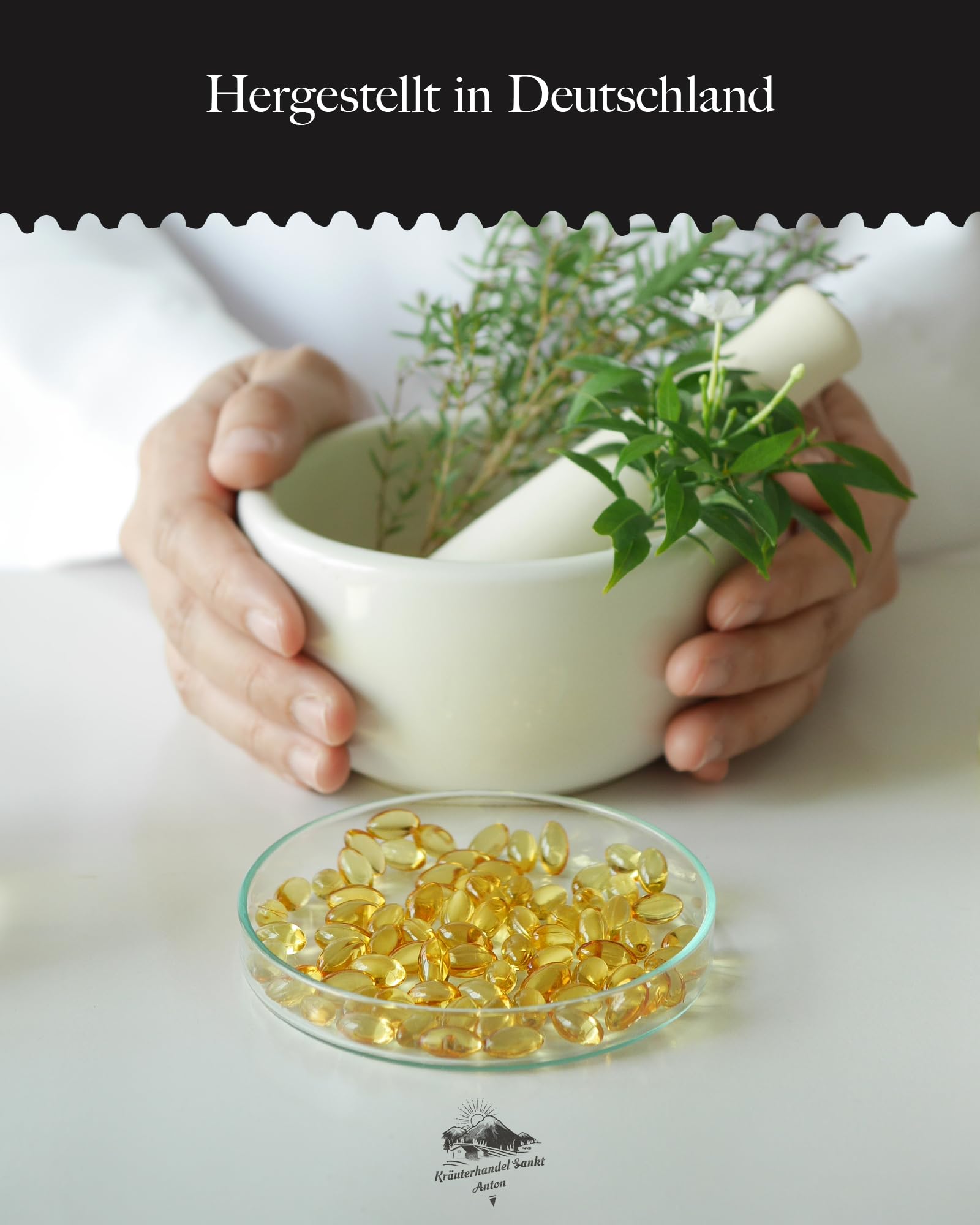 KRÄUTERHANDEL SANKT ANTON® - Ginkgo Biloba 7.500 Supra Kapseln - Hochdosiert - Laborgeprüft - Deutsche Premium Qualität (360 Kapseln)