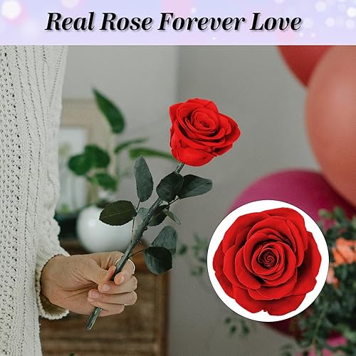 Miniatura 2 de Regalo de flores de San Valentín para ella, flor de rosa azul, regalos únicos de San Valentín, rosa de flor de amor, idea de regalo de rosas azules