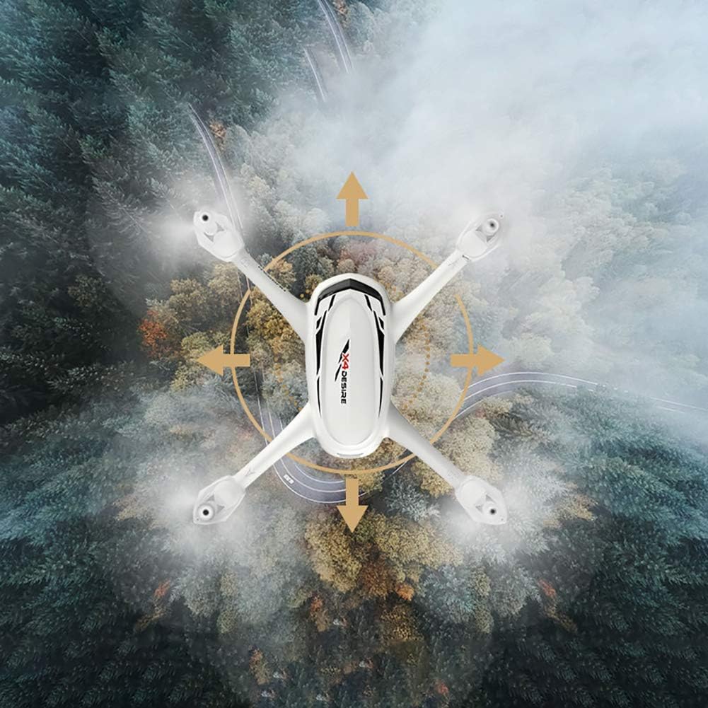 HUBSAN H502S X4 FPV RC Quadcopter Drone with HD Camera GPS