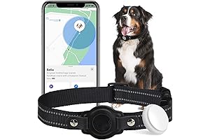 Dog GPS Tracker for Small Dogs