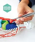 Discovery Toy Human Anatomy Kit