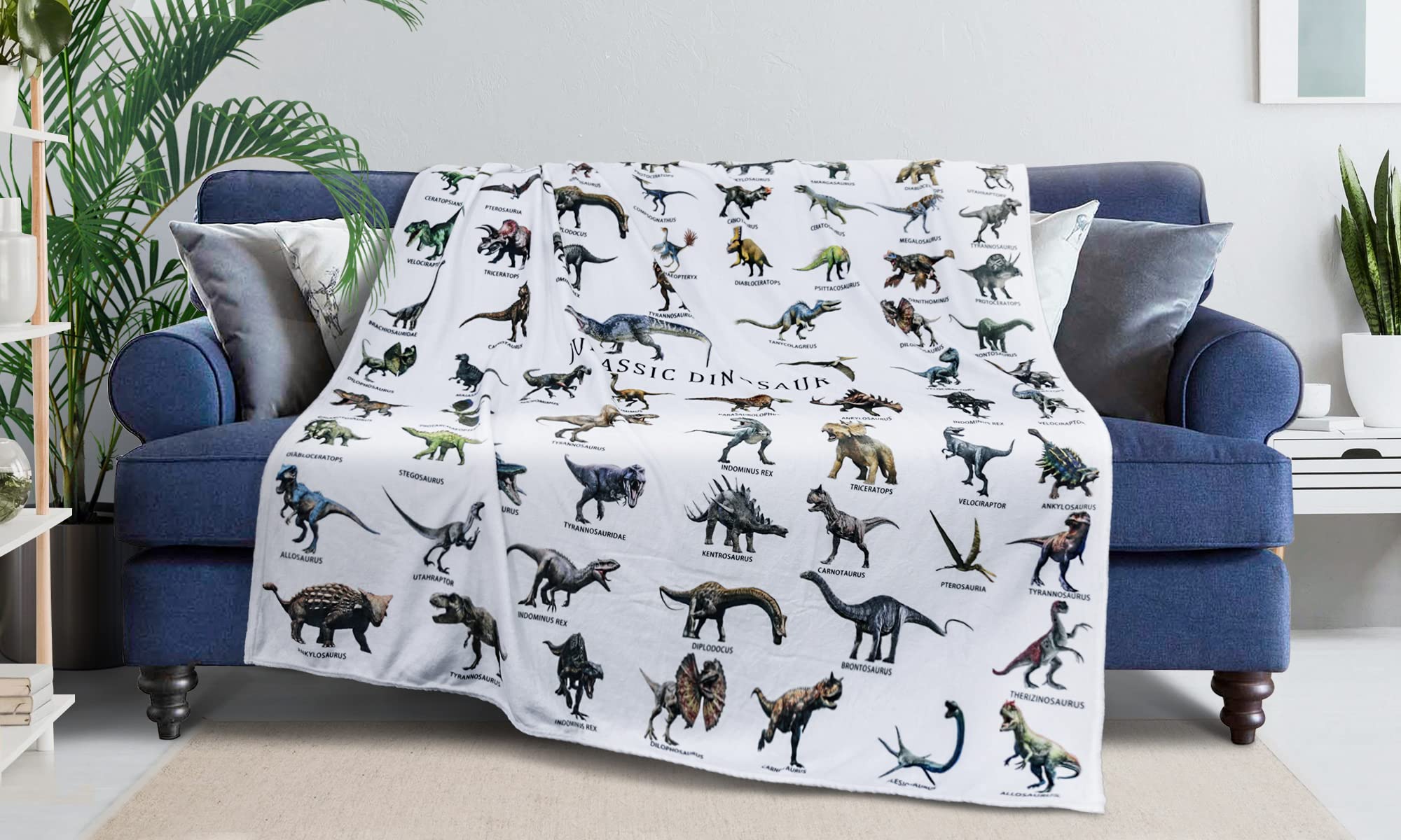 Dinosaur Blanket For Boys Teens Jurassic Dino Park World Kids