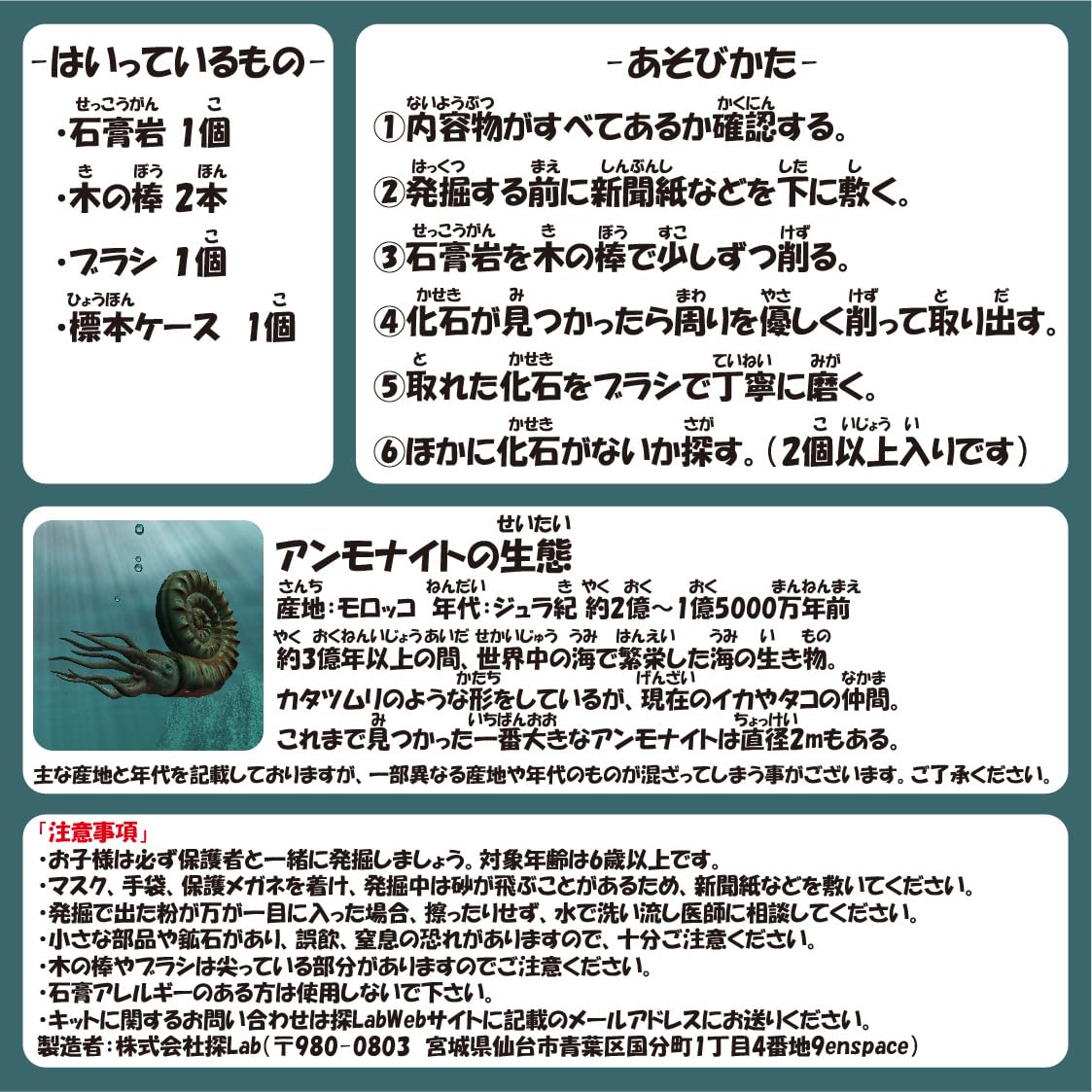 Amazon | 【恐竜が生きたジュラ紀の化石】ミニアンモナイト発掘キット