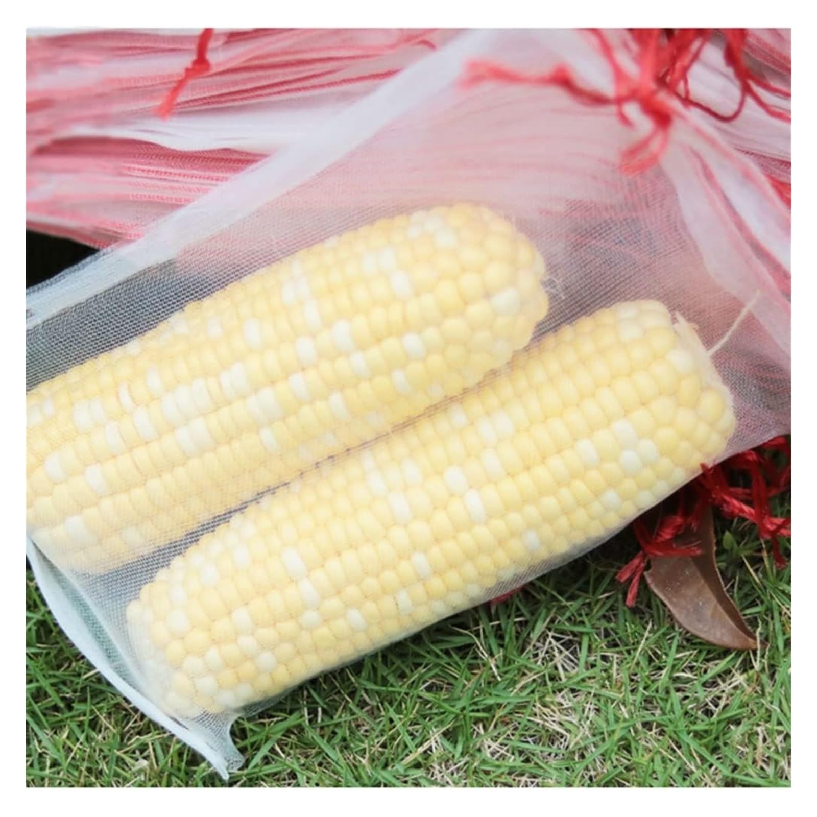 Bolsas Protectoras contra Insectos para Uvas, Bolsas de Malla for Frutas, Verduras y Uvas (50 Unidades, 15 x 10 cm - 35 25 cm)(25x15cm)