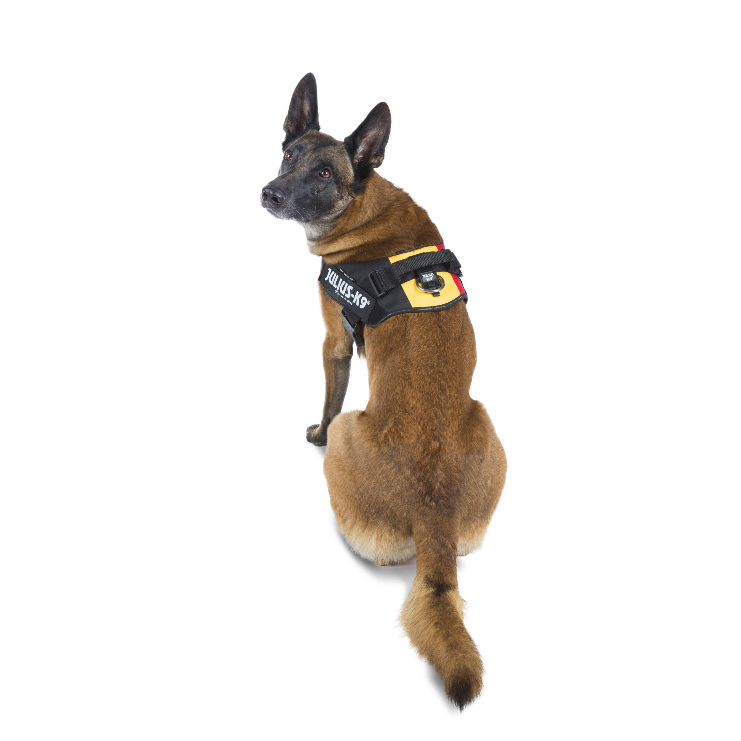 Julius-K9 IDC Powerharness, Camouflage, M/0 — view 972