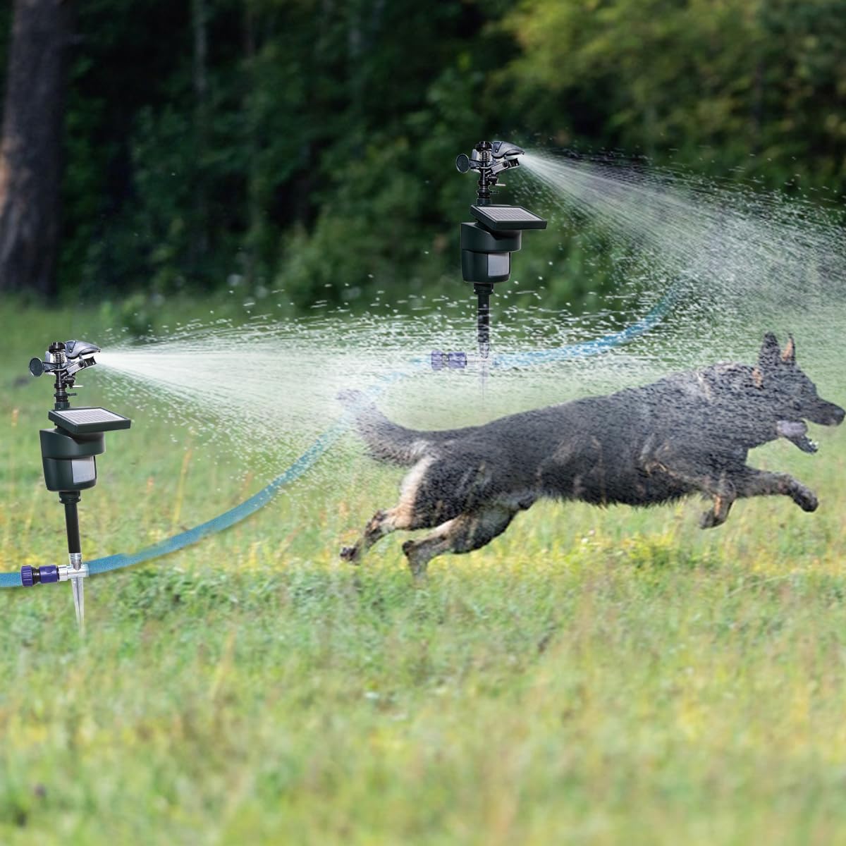 Irrigatore attivato dal movimento con pannello solare, irroratore ad acqua con sensore di movimento, repellente per animali con sensore di movimento per gatti, piccioni, cani