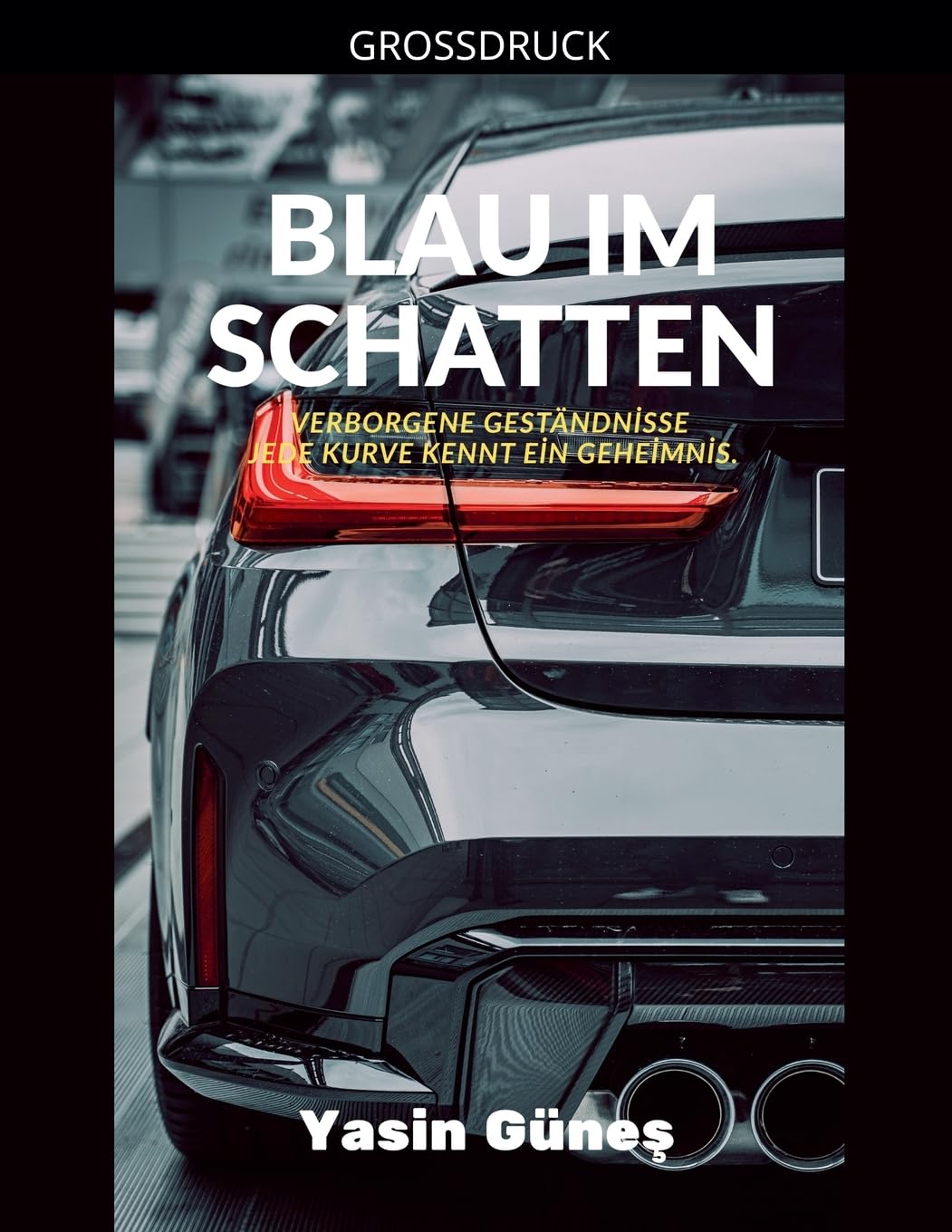 Blau im Schatten - Verborgene Geständnisse - jede Kurve kennt ein Geheimnis.