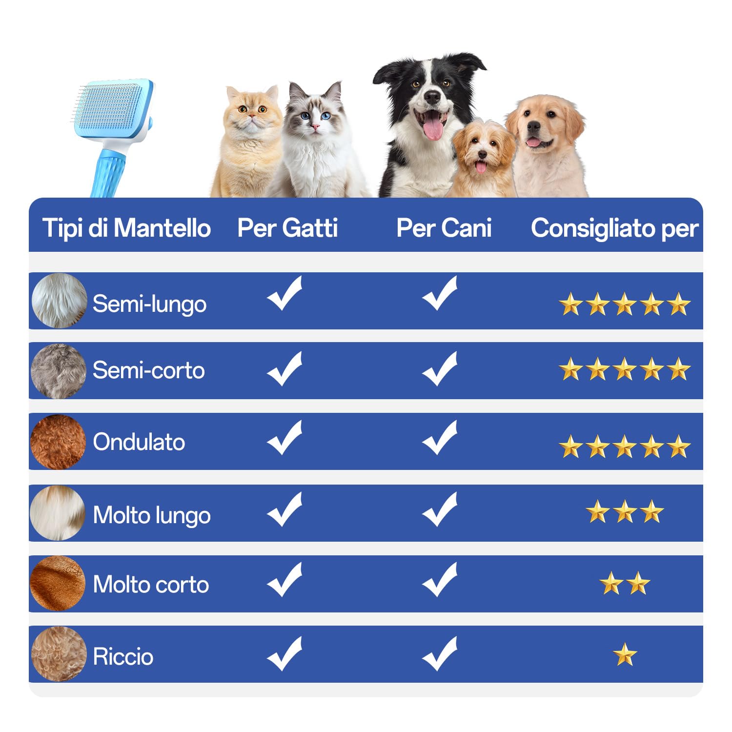 ACE2ACE Spazzola Gatto Cane Pelo Lungo e Corto, Autopulente Spazzola Morbida per Gatti e Cani, Cardatore per Cani Gatti, Brush per Barboncino,Golden Retriever,Labrador,Husky,Bulldog,Maltese, Blu