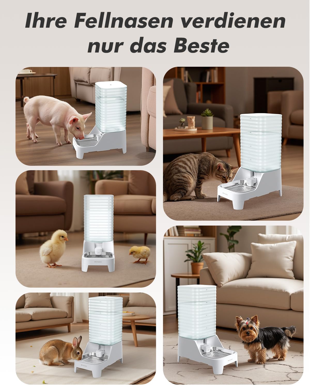 8L Wasserspender für Hunde und Katzen mit patentiertem Wasserhahn, futterautomat Katze mit Filter,verstellbarem Sockel, leicht zu reinigen, lebensmittelecht & BPA-frei