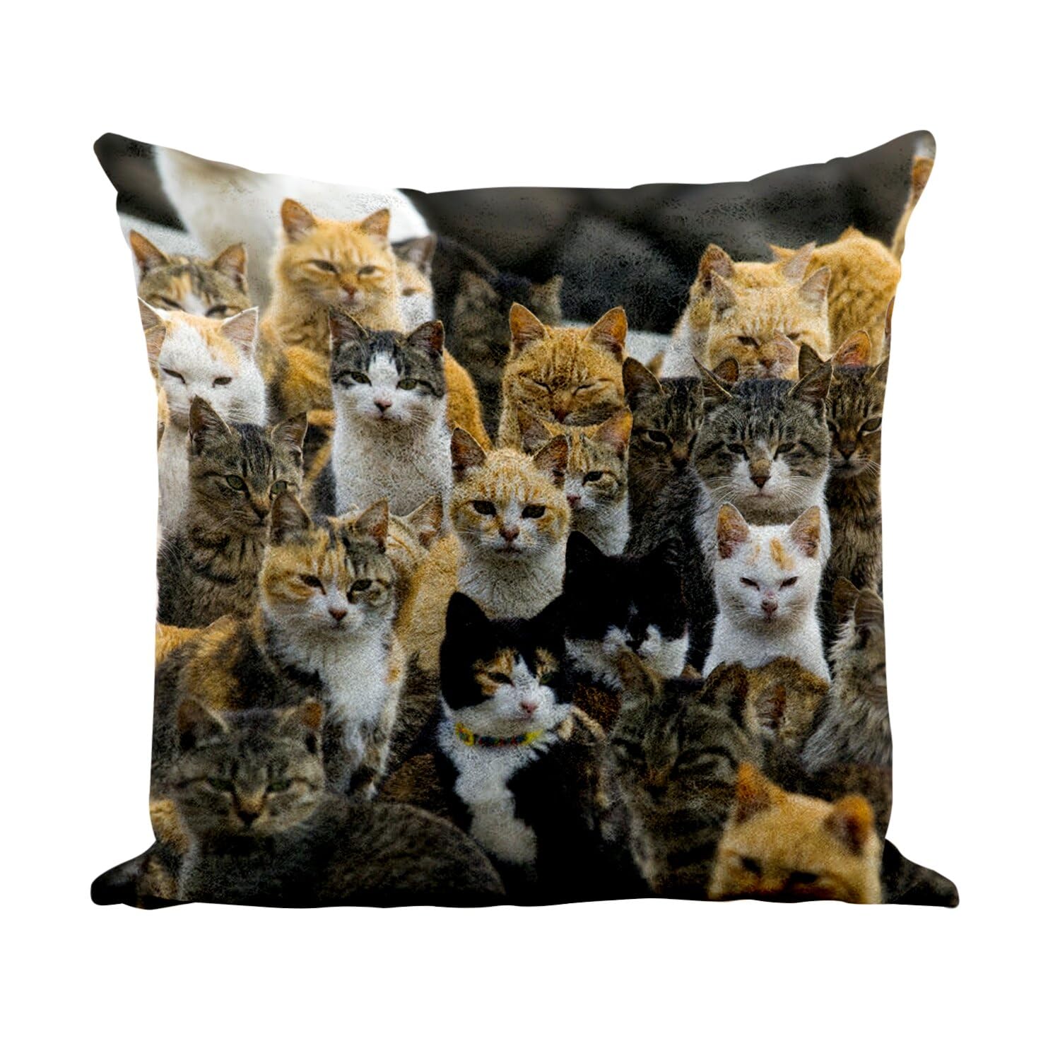 Housse et coussin similicuir blanc 40x40 au toucher cuir haut de gamme motif chat