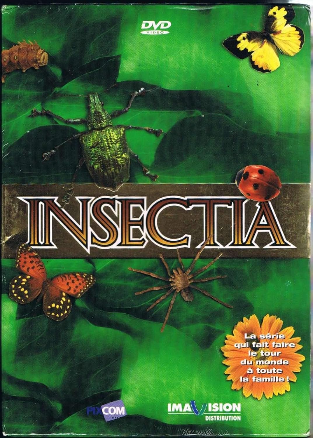 Insectia (Version française): Amazon.ca: Gutierrez, German: Movies & TV ...