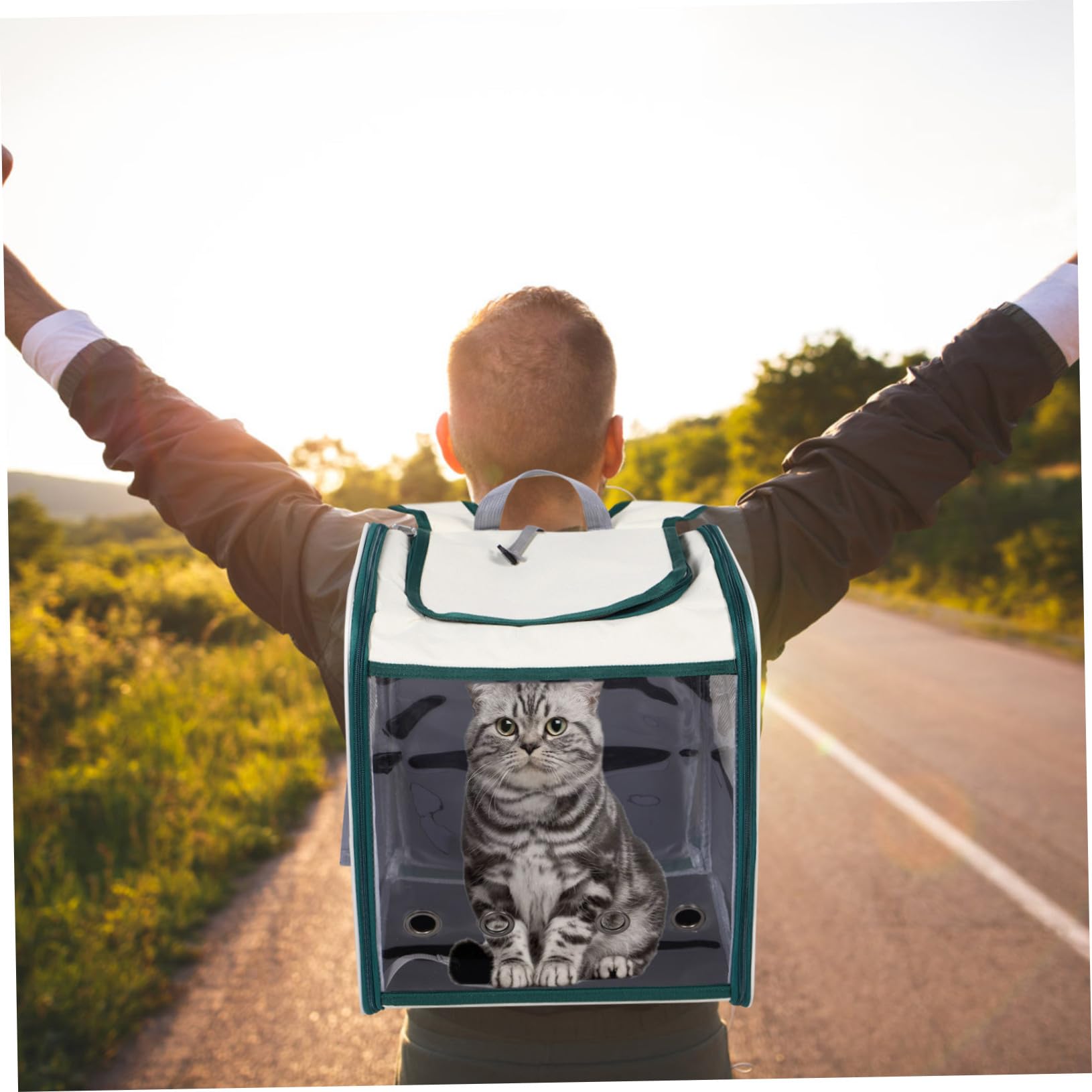 Toyvian Katzentragetasche Faltbar mit Netzmaterial für Kleine Hunde und Katzen für Reisen Wandern und Outdoor-aktivitäten Platzsparend und Atmungsaktiv