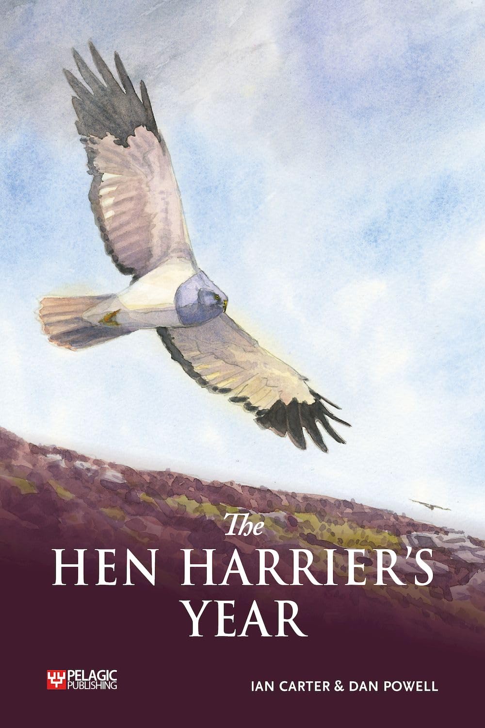 The Hen Harrier's Year by Ian Carter, Dan Powell - 9781784273859