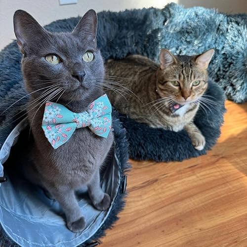 Miniatura 10 de Cama de túnel grande para gatos  Cama túnel de dona para gatos con alfombrilla suave y juguete de bola de felpa  Tubo esponjoso para gatos y cueva