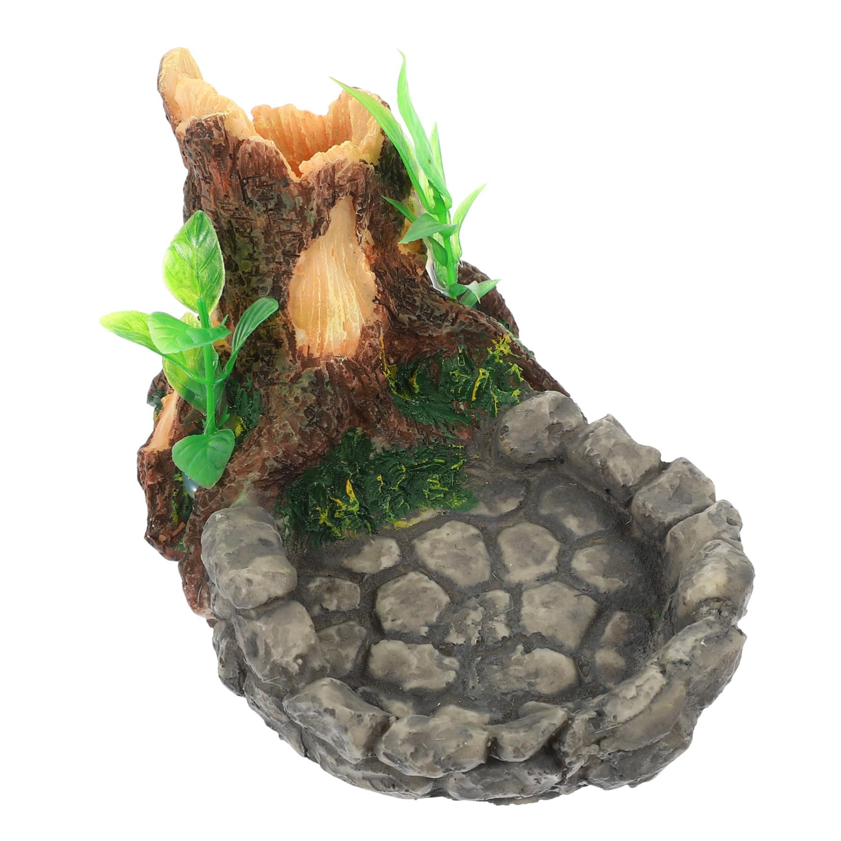 Hemoton Reptile Feeding Bowl Natural Water Dish for Tortoise Gecko Snake Reptiles Durable Terrarium Decor Crawling Pet Accessory