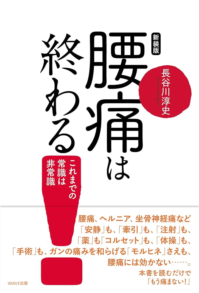 おまとめ割引あり】分析からアジャストまで腰痛マスター【腰椎