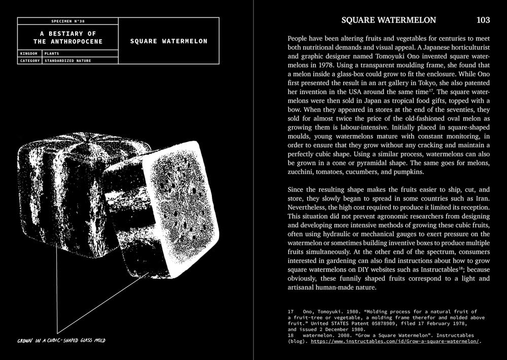 A Bestiary of the Anthropocene: Hybrid plants, animals, minerals, fungi, and other specimens