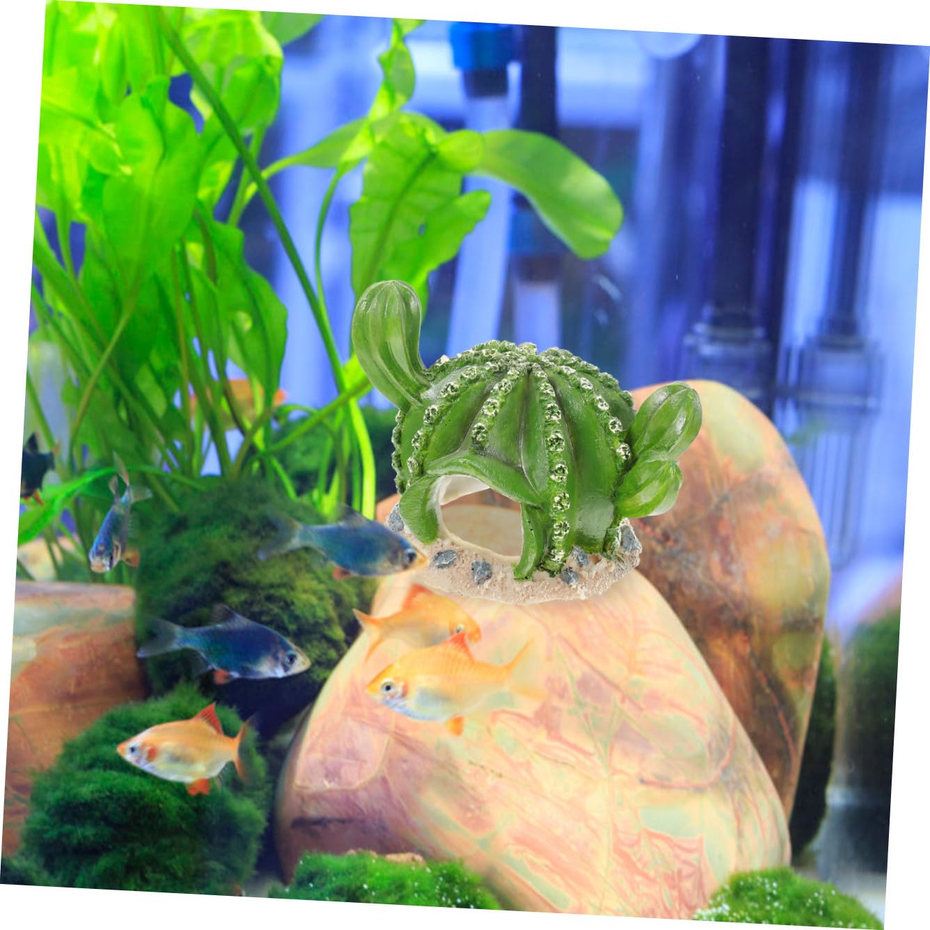 BESPORTBLE Adornos De Jardinería para Peceras 3 Piezas Mesa De con Patas Escondite De Reptiles Decoración para Pecera De Serpientes Pecera De Reptiles Dragón Barbudo Escondite