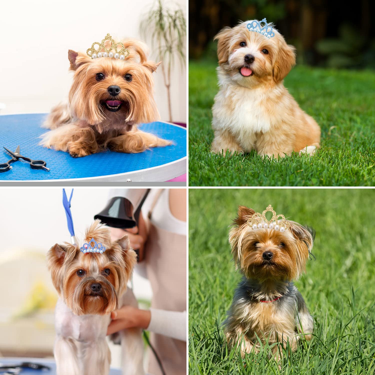 Amazon | ZHEJIA 犬用 ヘアクリップ 王冠【10個セット】ペット髪飾り