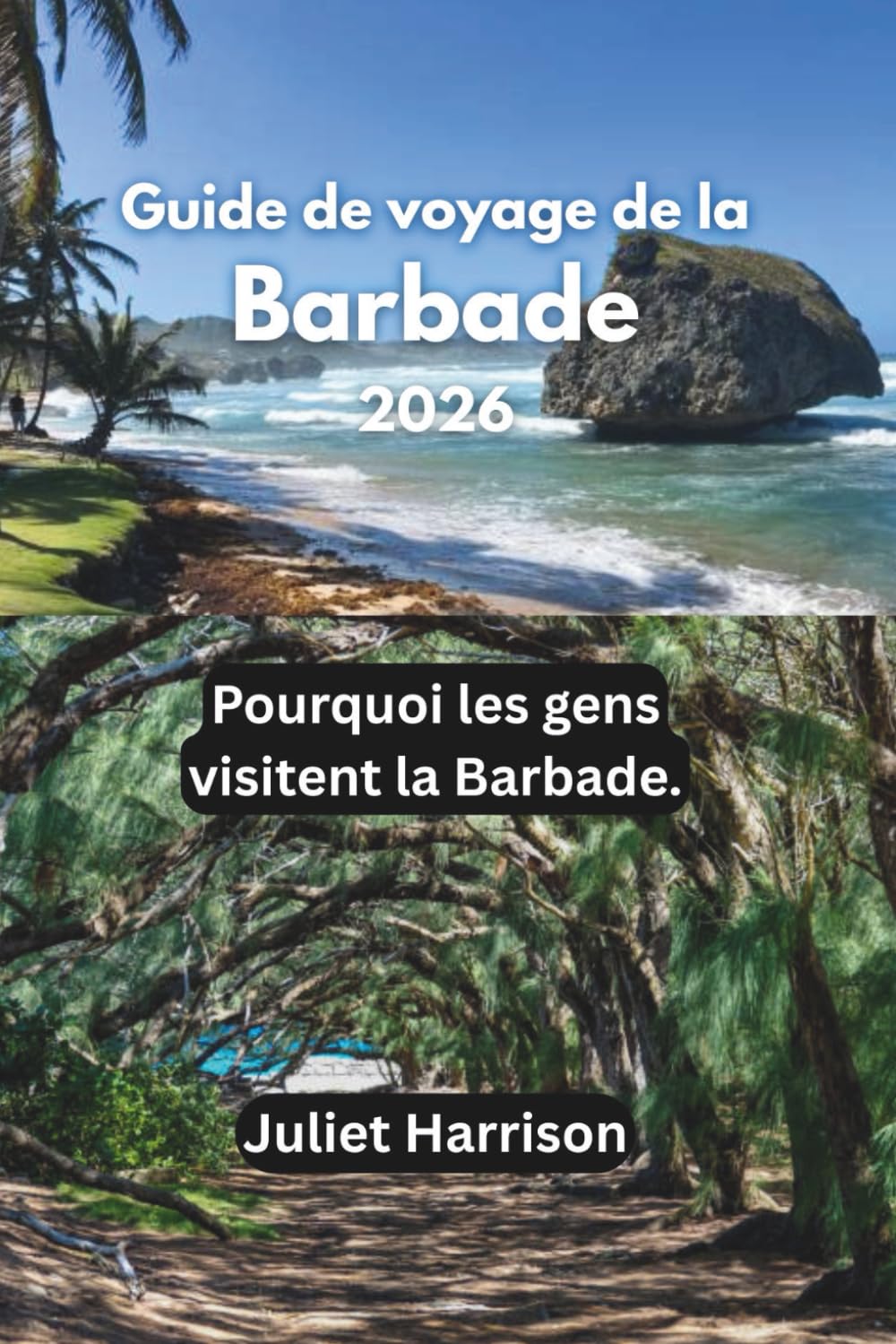 Guide de voyage de la Barbade 2026: Pourquoi les gens visitent la Barbade.