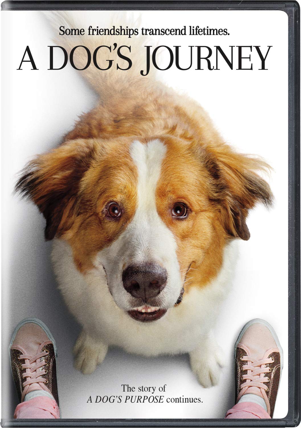 A Dog's Journey DVD  | amzdealz