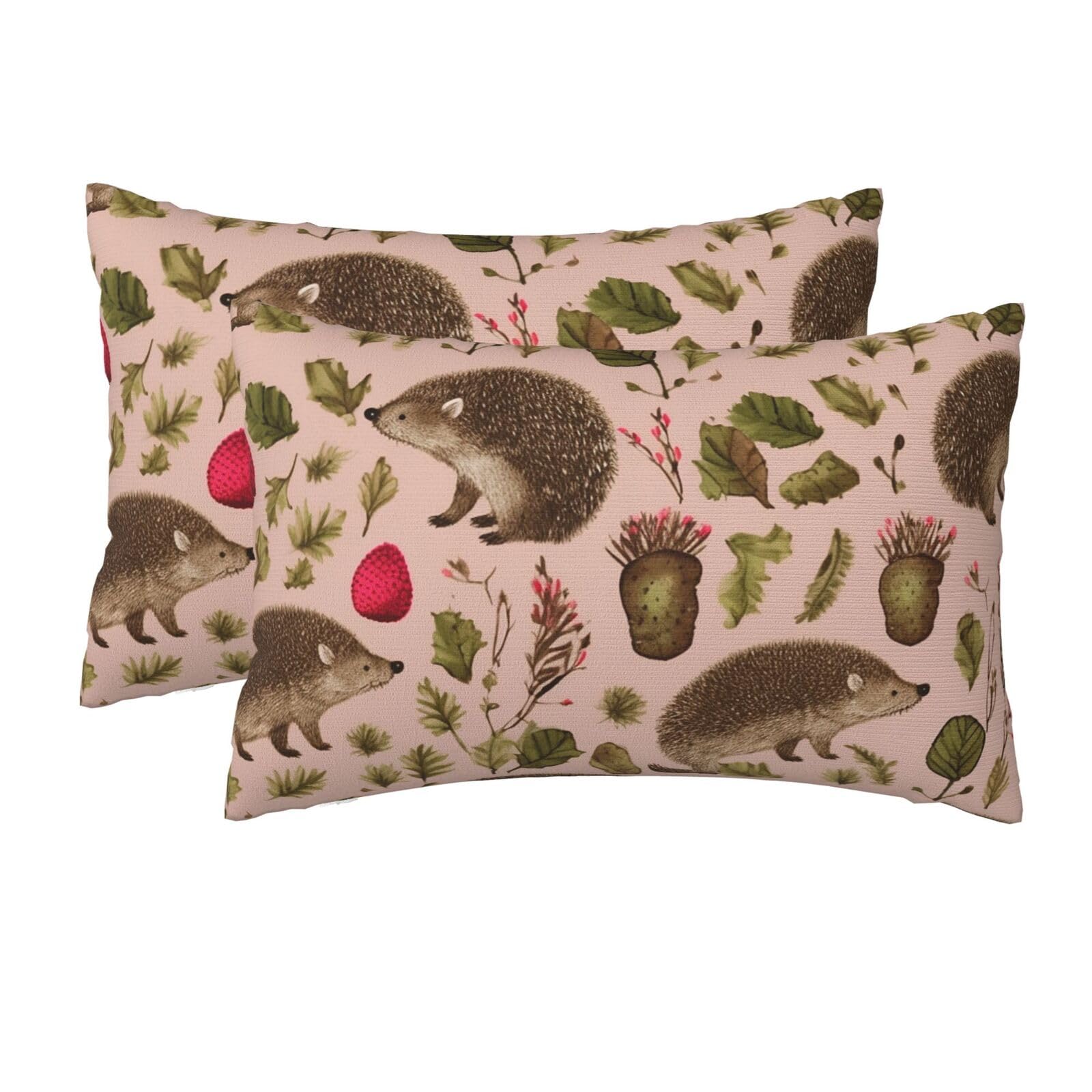 2 Pack Queen Size Pillow Cases for Hair and Skin Soft Breathable Pillow Case Covers with Hidden Zipper Hedgehog Print Pillowcase 20x30 Inches Pillow Cover for Sleeping Gift