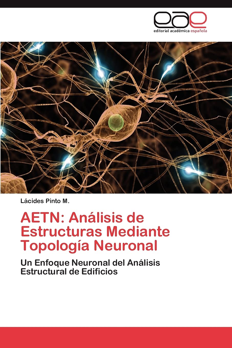AETN: Análisis de Estructuras Mediante Topología Neuronal: Un Enfoque Neuronal del Análisis Estructural de Edificios (Spanish Edition)