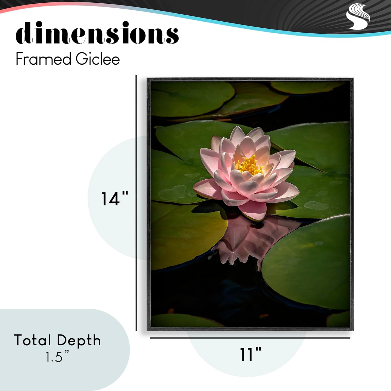 Stupell Industries Pink Lotus Among Lily Pads Black Framed Giclee Art, design by Phillip Flowers, 14 x 11