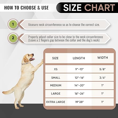 Miniatura 4 de DCSP Pets - Collar de perro  Collar de perro resistente para perros pequeños, medianos y grandes  Tela natural ecológica  Duradero y agradable al