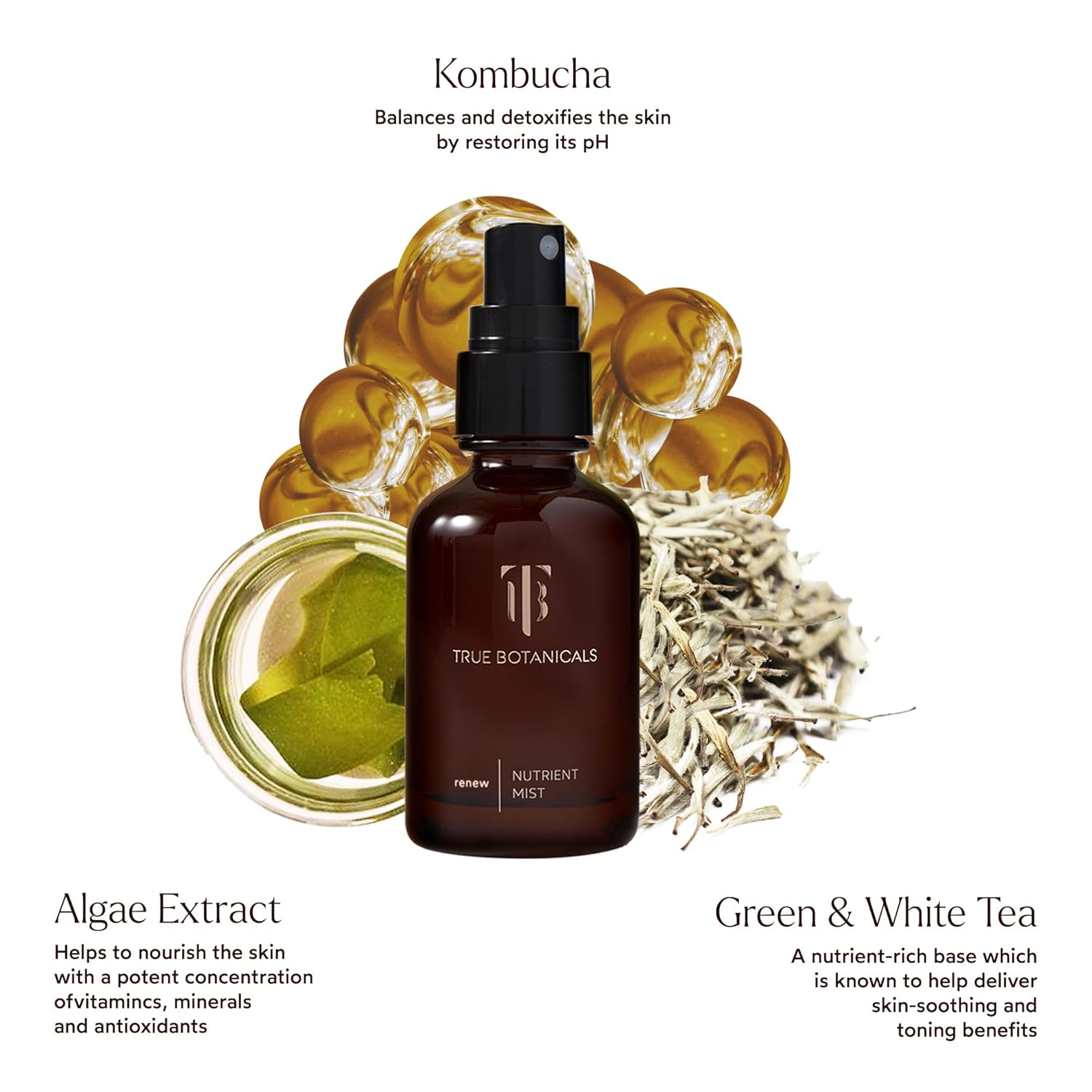 True Botanicals Renew Nutrient Mist | Deeply Hydrates & Refreshes On the Go |Dermatologist Tested, Non-Toxic, Hypoallergenic, Vegan, MADESAFE Certfied | (1.7 oz | 50 ml) - Image 2